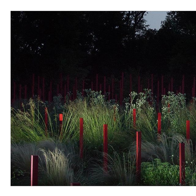 LHB➖The garden and scenography we designed for the Chateau Larrivet-Haut Brion’s wine castel in Leognan is getting ready to be shown in few days!🌱 We are really proud to open the doors of this project that is growing up since two years ☘️ Thanks a lot to #yannmonel for the beautiful pictures 📸 and to @chateau_larrivet_haut_brion to be the land of this project @solineportmann #landscaping #landscapeart #gardendesign #redandwhite #larrivethautbrion #winecastle #frenchgarden #piquetrouge #bigtime