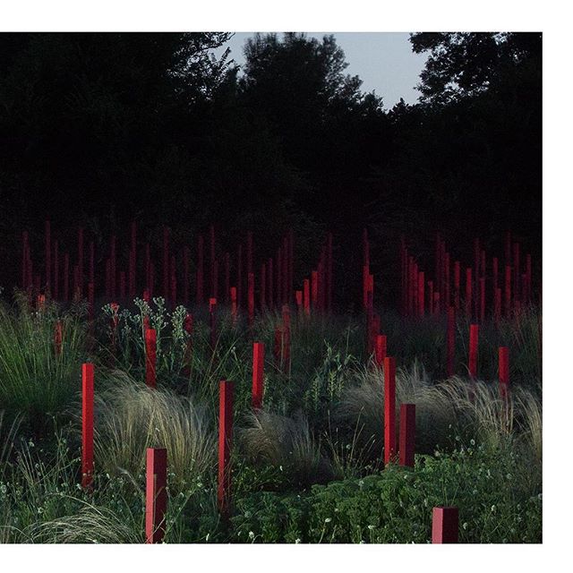 LHB➖The garden and scenography we designed for the Chateau Larrivet-Haut Brion’s wine castel in Leognan is getting ready to be shown in few days!🌱 We are really proud to open the doors of this project that is growing up since two years ☘️ Thanks a lot to #yannmonel for the beautiful pictures 📸 and to @chateau_larrivet_haut_brion to be the land of this project @solineportmann #landscaping #landscapeart #gardendesign #redandwhite #larrivethautbrion #winecastle #frenchgarden #piquetrouge #bigtime