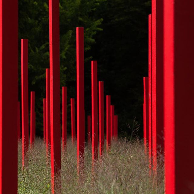 LHB➖The garden and scenography we designed for the Chateau Larrivet-Haut Brion’s wine castel in Leognan is getting ready to be shown in few days!🌱 We are really proud to open the doors of this project that is growing up since two years ☘️ Thanks a lot to #yannmonel for the beautiful pictures 📸 and to @chateau_larrivet_haut_brion to be the land of this project @solineportmann #landscaping #landscapeart #gardendesign #redandwhite #larrivethautbrion #winecastle #frenchgarden #piquetrouge #bigtime