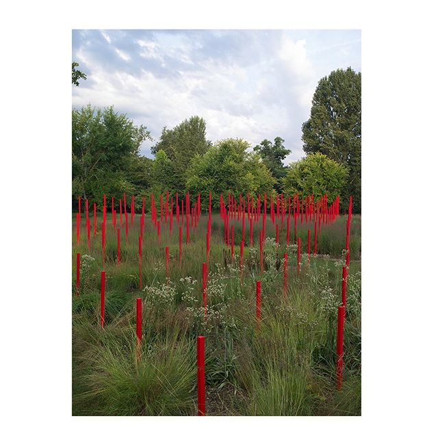 🍀TOMORROW🍀Opening of Le jardin d’ivresse➖The garden and scenography we designed for the Chateau Larrivet-Haut Brion’s wine castel in Leognan is getting ready to be shown in few days!🌱 We are really proud to open the doors of this project that is growing up since two years ☘️ Thanks a lot to #yannmonel for the beautiful pictures 📸 and to @chateau_larrivet_haut_brion to be the land of this project @solineportmann #landscaping #landscapeart #gardendesign #redandwhite #larrivethautbrion #winecastle #frenchgarden #piquetrouge #bigtime