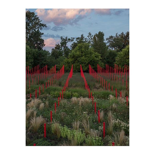 🍀TOMORROW🍀Opening of Le jardin d’ivresse➖The garden and scenography we designed for the Chateau Larrivet-Haut Brion’s wine castel in Leognan is getting ready to be shown in few days!🌱 We are really proud to open the doors of this project that is growing up since two years ☘️ Thanks a lot to #yannmonel for the beautiful pictures 📸 and to @chateau_larrivet_haut_brion to be the land of this project @solineportmann #landscaping #landscapeart #gardendesign #redandwhite #larrivethautbrion #winecastle #frenchgarden #piquetrouge #bigtime
