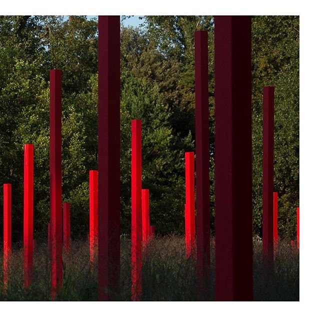 LHB➖Le jardin d’ivresse➖The garden and scenography we designed for the Chateau Larrivet-Haut Brion’s wine castel in Leognan is getting ready to be shown in few days!🌱 We are really proud to open the doors of this project that is growing up since two years ☘️ Thanks a lot to #yannmonel for the beautiful pictures 📸 and to @chateau_larrivet_haut_brion to be the land of this project @solineportmann #landscaping #landscapeart #gardendesign #redandwhite #larrivethautbrion #winecastle #frenchgarden #piquetrouge #bigtime